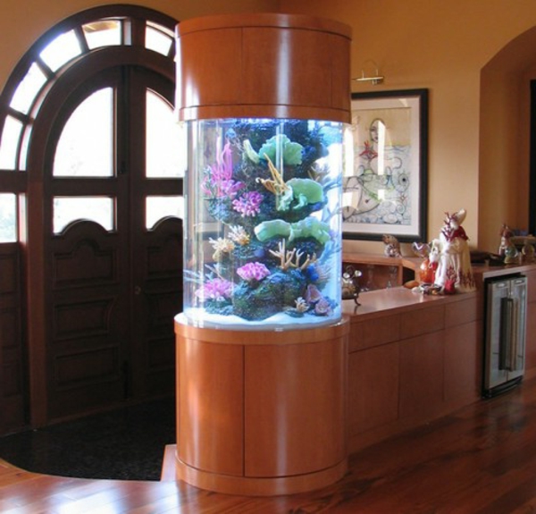 aquarium-raumteiler-im-haus - mit einer wunderschönen tür
