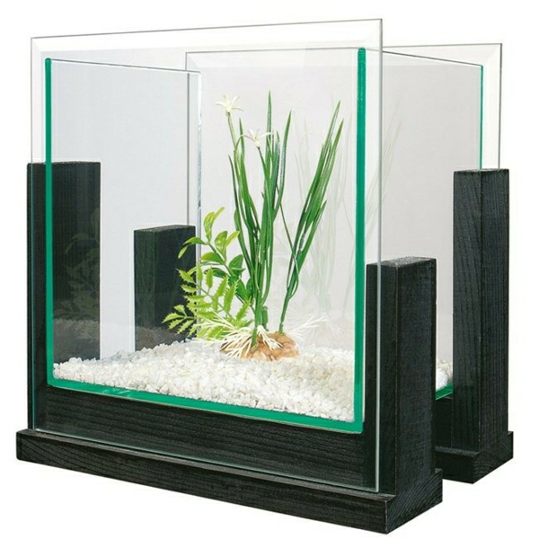 aquarium-raumteiler-klein-und-modern - weißer hintergrund