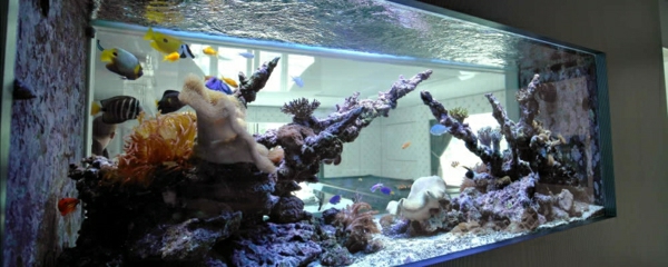 aquarium-raumteiler-kreativ-aussehen