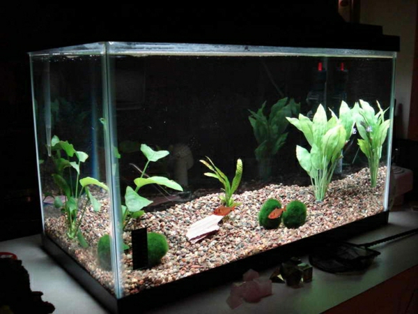 aquarium-raumteiler-modern-ausgestaltet