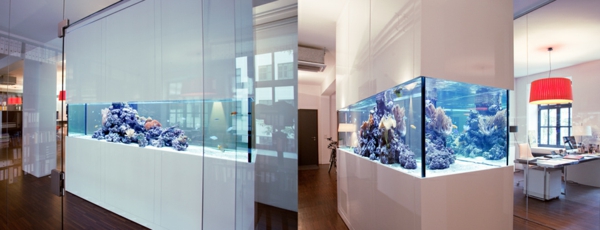 aquarium-raumteiler-zwei-bilder - sehr interessanter look