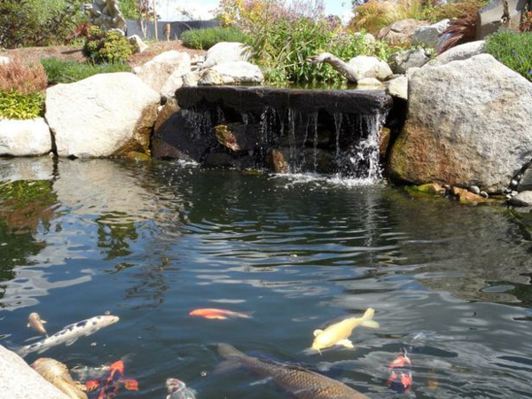 Wie Baue Ich Einen Teich Mit Wasserfall Teich mit Wasserfall: 31 tolle Bilder!