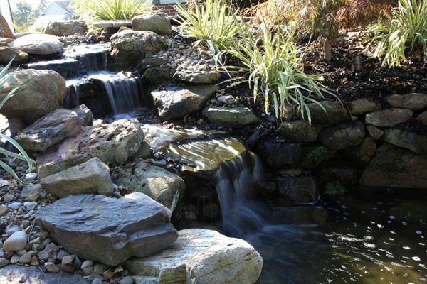 Teich mit Wasserfall: 31 tolle Bilder!