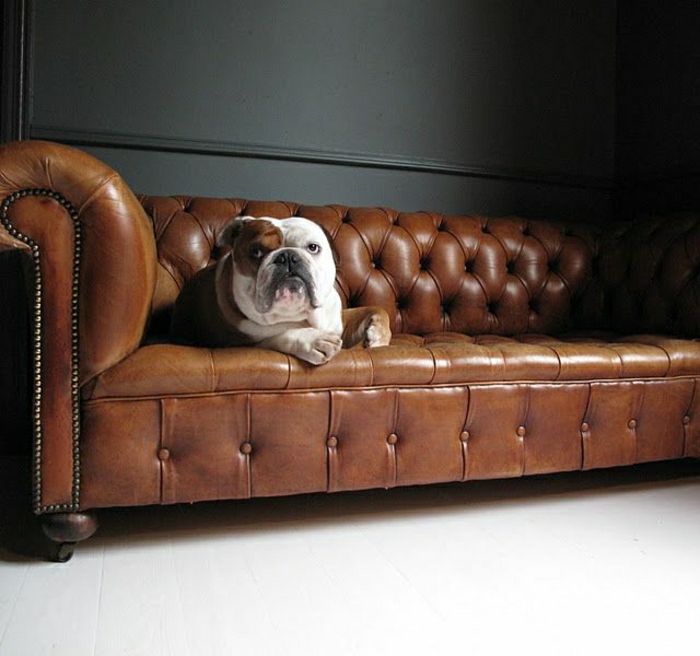 Chesterfield-Sofa-Bulldog
