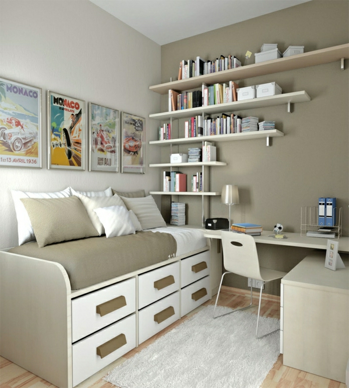 Jugendzimmer-Cappuccino-Wände-Sofa-viele-Bücherregale-Schreibtisch-schlichtes-Design