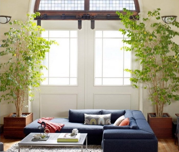 Wohnzimer-gestalten-mit-Blumen-und-ein-blaues-Sofa