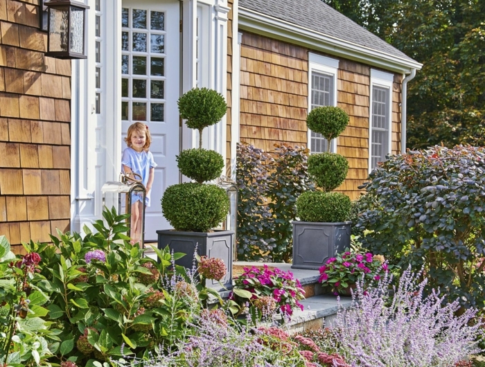 Garten gestalten mit wenig Geld Tipps und Tricks für günstige Begrünung