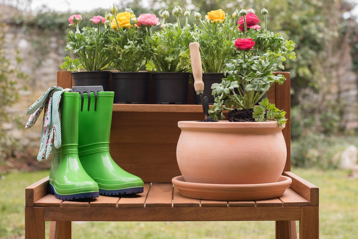 Gartenpflanzen Im Winter Gie En Brauchen Pflanzen Im Winter Wasser