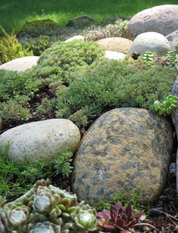 moderne gartengestaltung mit runden steinen und grünen pflanzen