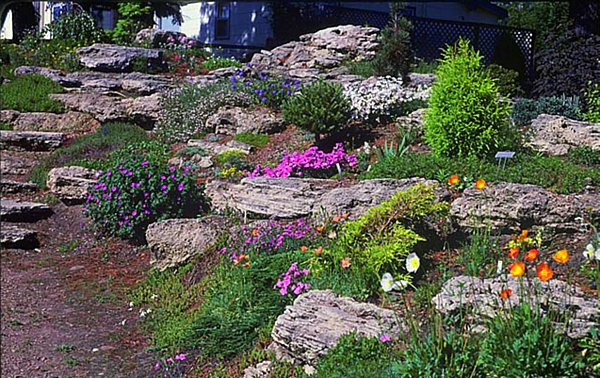 gartenidee - steine und bunte blüten