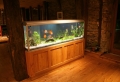Aquarium Schrank – schaffen Sie eine exotische Atmosphäre zu Hause!