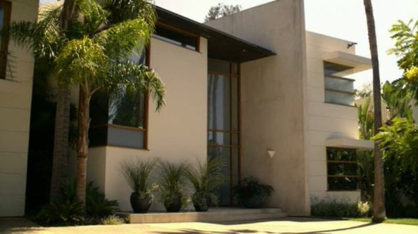 modernes-familienhaus-palme- schöne deko