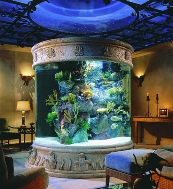 super-moderne-idee-für-aquarium- enorme größe