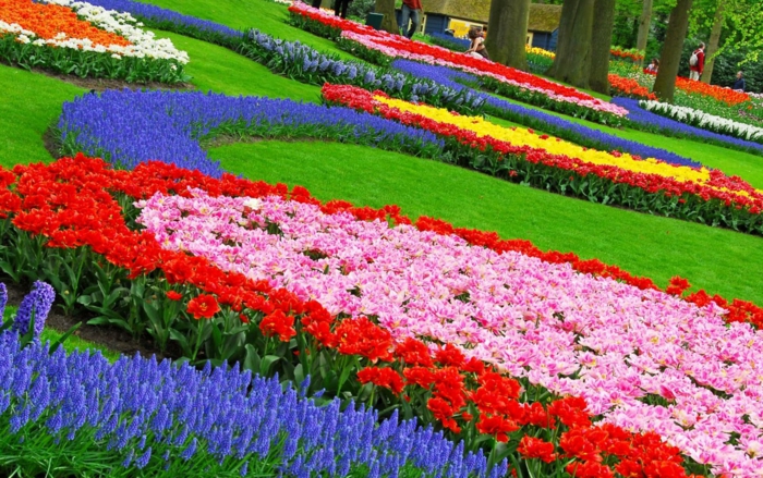 wunderschönen-blumengarten-gestalten-bunte-farben-gartengestaltung-tipps