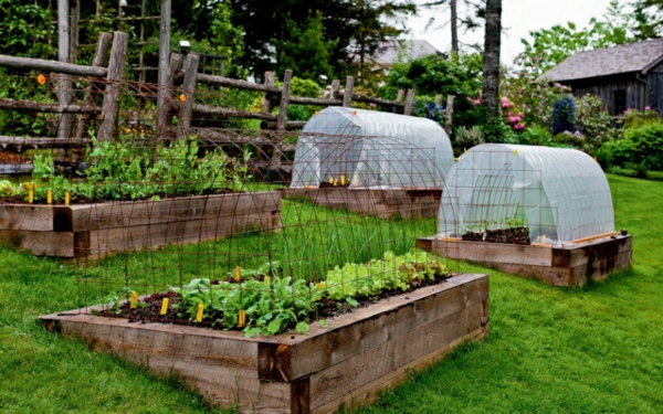 Gewächshaus-Windschutz-Hochbeete-Holz-Garten-Hang-anlegen-Gemüse-einpflanzen