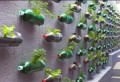30 kreative Ideen für selbstgemachte Gartendeko