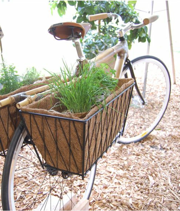 fahrrad-deko-korb-pflanze - dekorative pflanzen in grün