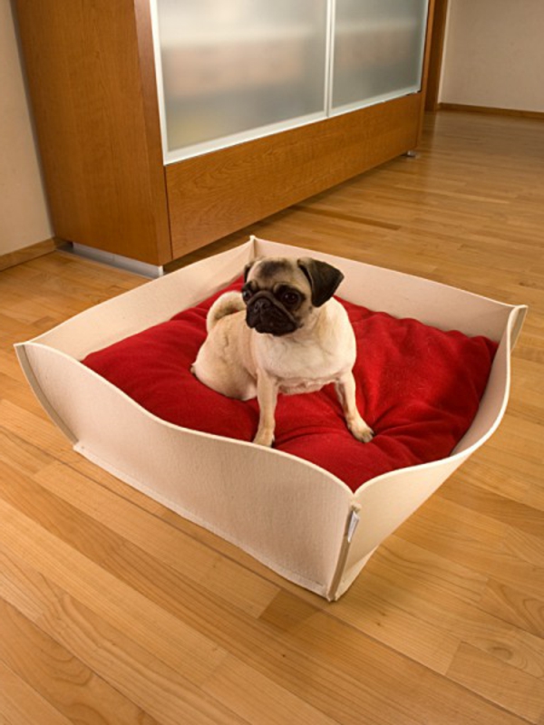 kompfort-für-den-hund-orthopädisches-hundebett-mit-roter-matte - schrank aus holz