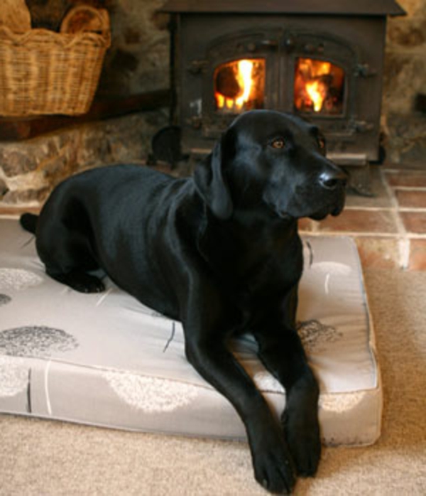 schwarzer-hund-auf-einem-orthopädischen-hundebett - dahinter - eine feuerstelle