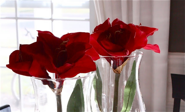 hochzeitsdeko-rote-rosen in bechern und dahinter - weiße gardinen