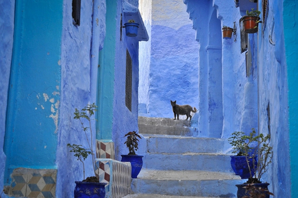 interessante-gestaltung-alte-stadt-in-morocco-blaue-farbe