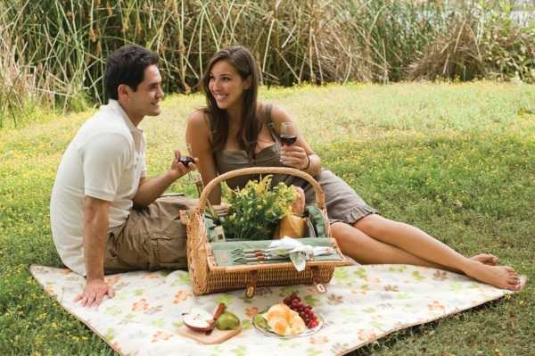 picknick-korb-für-zwei-personen-eine hubsche junge frau und ein mann trinken wein auf dem gras