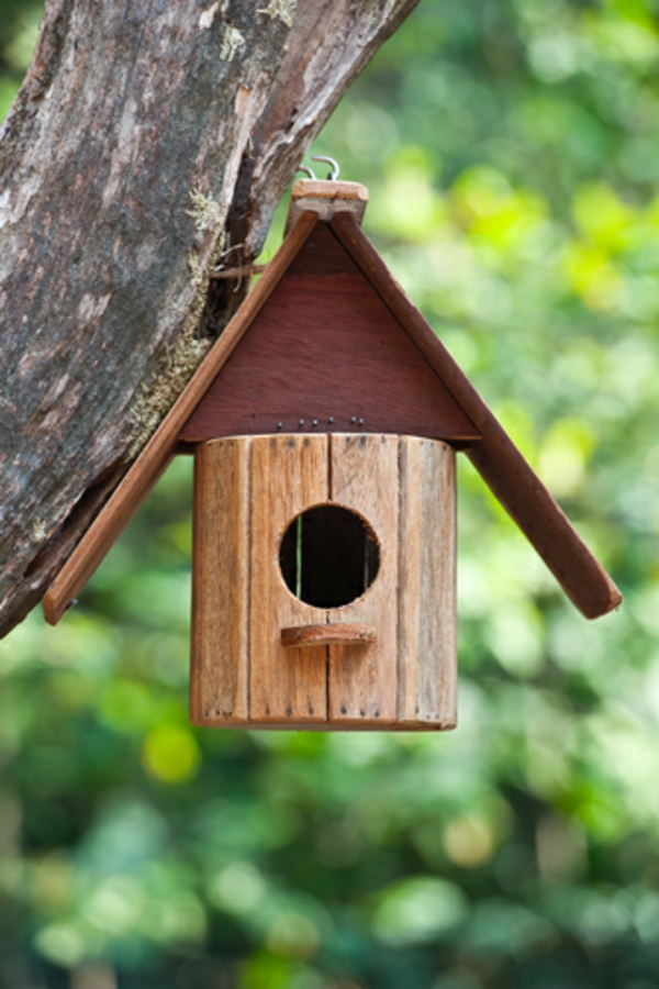 süßes-vogelhaus-selber-bauen- an einen baum aufhängen