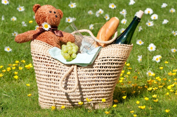 teddybär-im-picknickkorb-super gesaltung