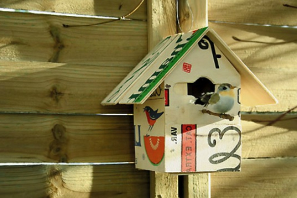 vogelhaus-selber-bauen-schön-aussehen-bunte farben und ein vogel