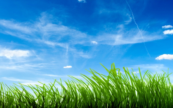 Farbbedeutung-Grün-grass-und Himmel-und-einige-Wolken