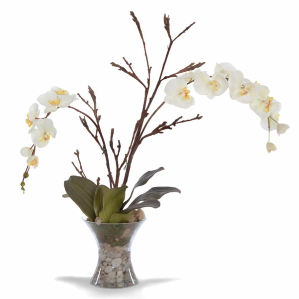deko-mit-orchideen-weißer-hintergrund- und kleine dekorative steine