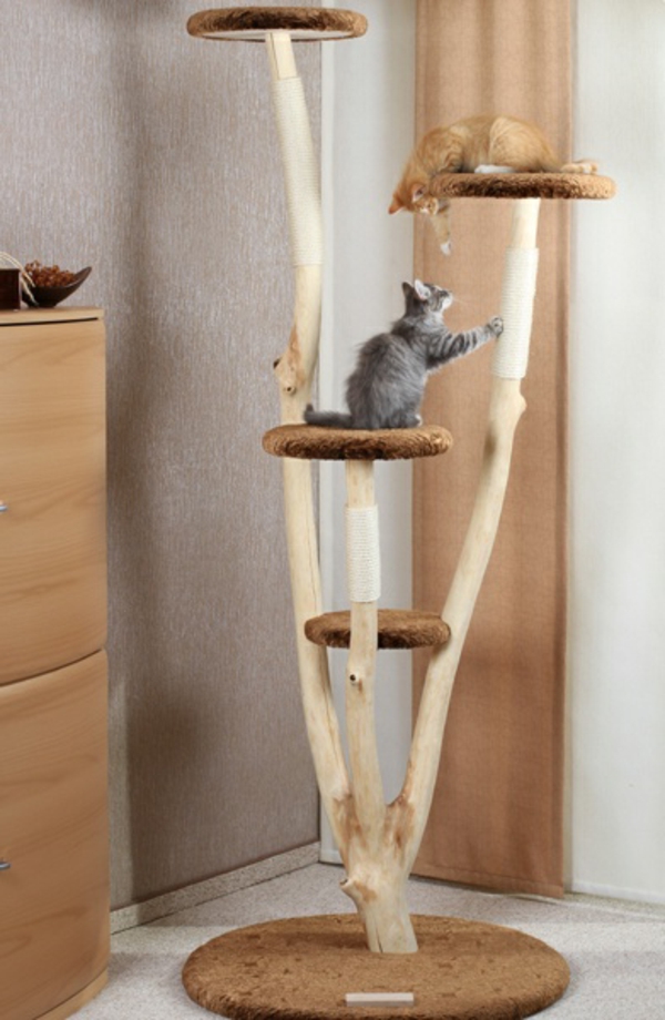 Design Katzenmöbel für brave Katzen! - Design Katzenm%C3%B6bel Rarissima