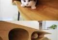 Design Katzenmöbel für brave Katzen!