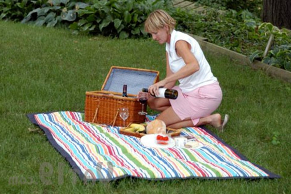 ein-schönes-beispiel-für-picknickdcken- eine frau bereitet alles vor