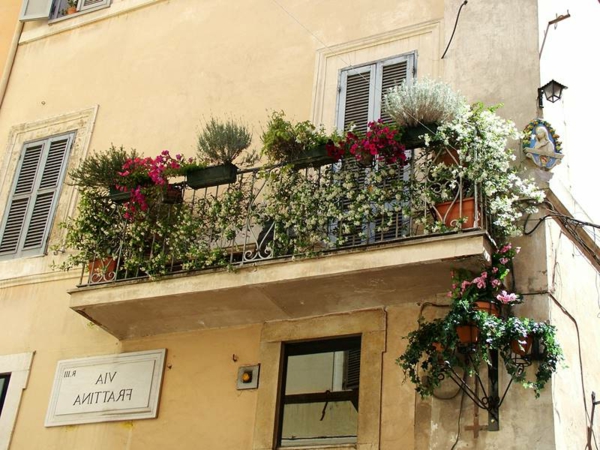 hängende-balkonpflanzen-balkon-in-rome