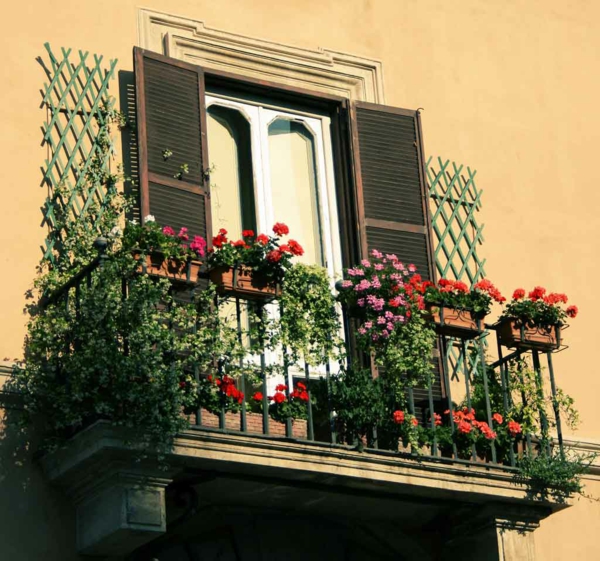 hängende-balkonpflanzen-cool-balcony-flower