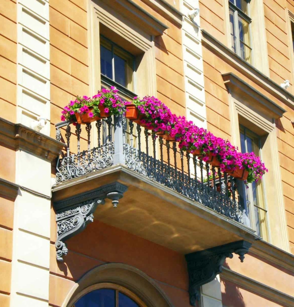 hängende-balkonpflanzen-dekoration