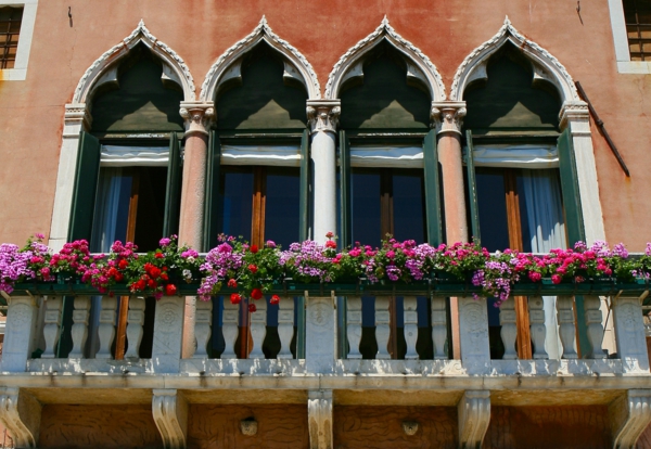 hängende-balkonpflanzen-venedig-gothic