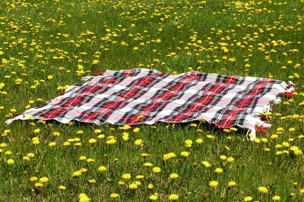 schön-aussehende-picknick-decke- auf dem gras- gelbe blümchen