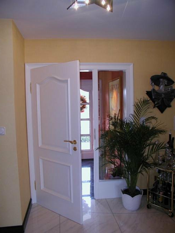 weiße-wunderschöne-hochwertige-innentüre- eine grüne pflanze als dekoration