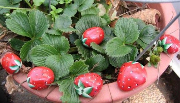 rote-Erdbeeren-verzierte- Steine-als-Dekoration-für-den-Garten