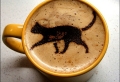 Kreativität in einer Tasse Kaffee!