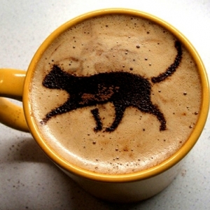 Kreativität in einer Tasse Kaffee!
