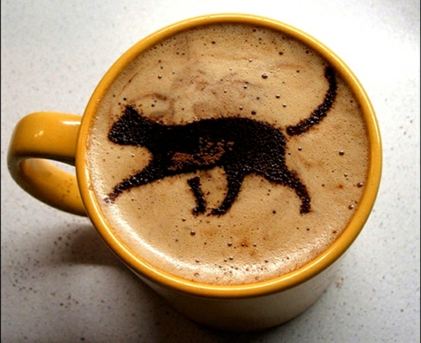 Kaffee-originelles-Bild-schwarze-Katze