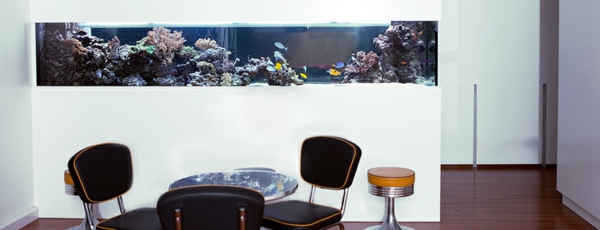 aquarium-raumteiler-hinter-dem-esstisch - weiße wandgestaltung