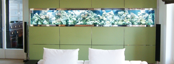 aquarium-raumteiler-hinter-einem-weißen-bett - grüne farbe der wand