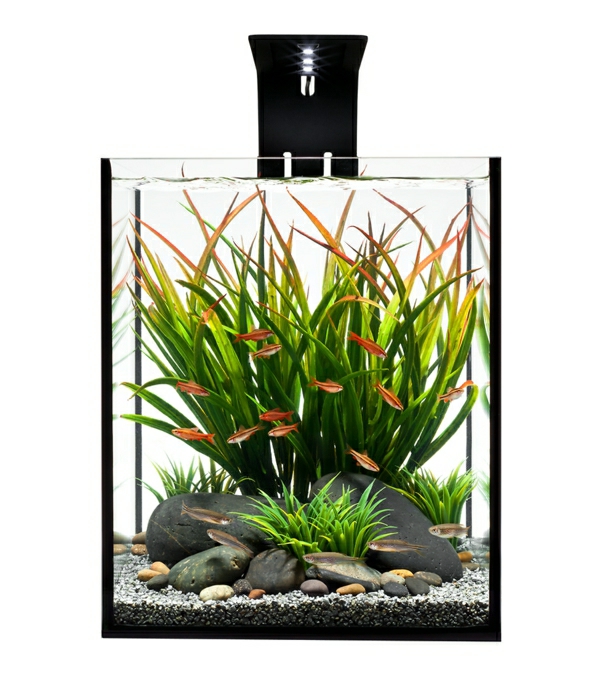 aquarium-raumteiler-hintergrund-in-weiß - moderne gestaltung