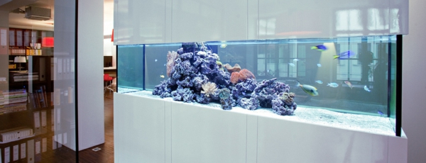 aquarium-raumteiler-modern-gestaltet-in-weißer-farbe