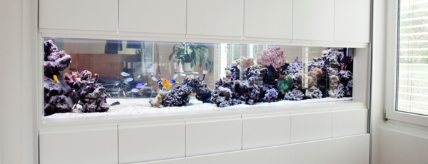 aquarium-raumteiler-weiße-gestaltung - ganz schön aussehen