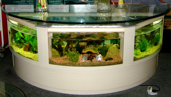 aquarium-tisch-wohnzimmer-grün